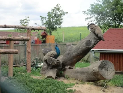 Škola v přírodě 1. A, 2. B, 4. A - Broumov (část 1)