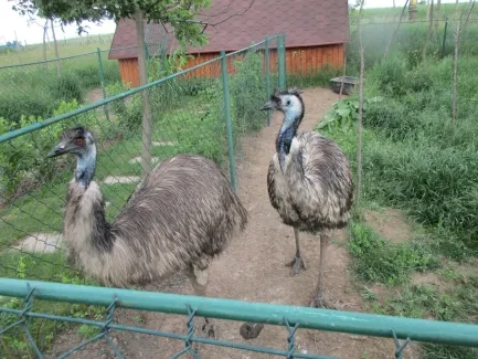 Škola v přírodě 1. A, 2. B, 4. A - Broumov (část 1)