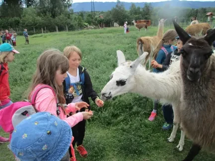 Škola v přírodě 1. A, 2. B, 4. A - Broumov (část 1)