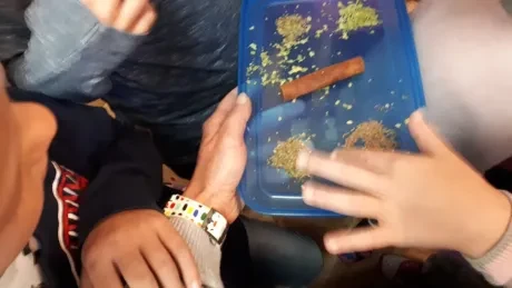 Projektový den_1. A