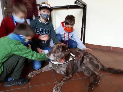 Putování s hendikepem_část 1