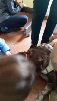 Putování s hendikepem_část 2