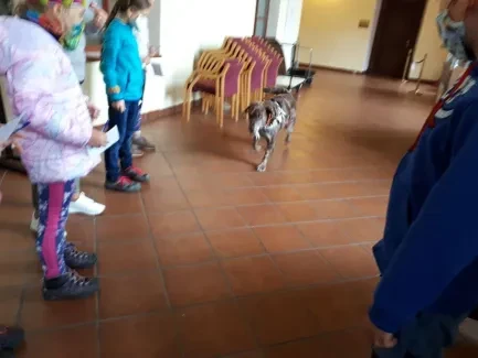 Putování s hendikepem_část 1