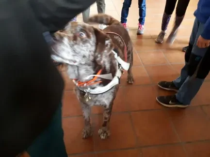 Putování s hendikepem_část 1