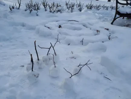 Týden na sněhu_2. A