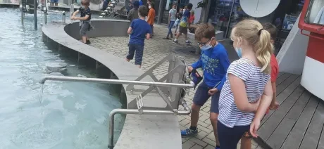 IQLandia_3. A a 4. A