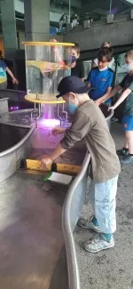 IQLandia_3. A a 4. A