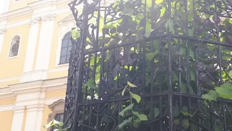 Za hradeckými lvy s architektem města_2. A