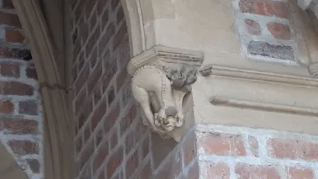 Za hradeckými lvy s architektem města_2. A