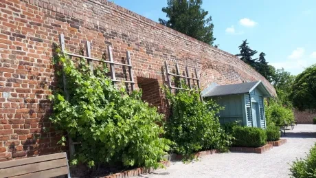 Za hradeckými lvy s architektem města_2. A