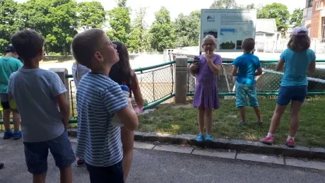 Za hradeckými lvy s architektem města_2. A