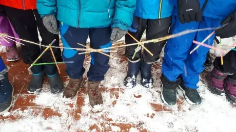 ZOO zdobení vánočních stromečků