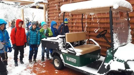 ZOO zdobení vánočních stromečků