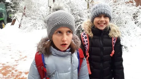 ZOO zdobení vánočních stromečků