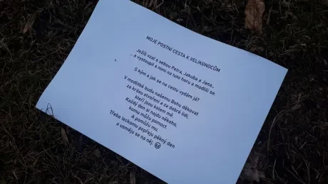 Hledačka zájmen_5. A