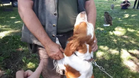 Interaktivní výukové dopoledne_3. A