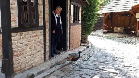 Den církevního školství_1. A_Botanicus_1