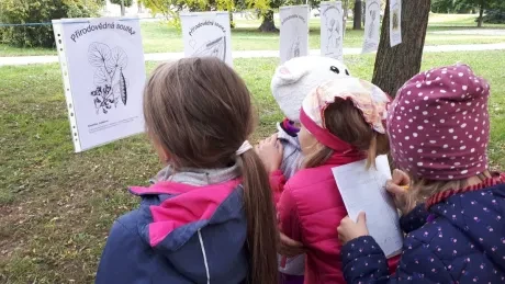 Zlatý strom_1. A, 2. A_díl 2