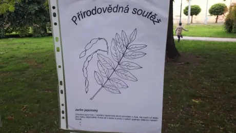 Zlatý strom_1. A, 2. A_díl 2