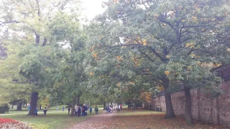 Zlatý strom_1. A, 2. A_díl 2