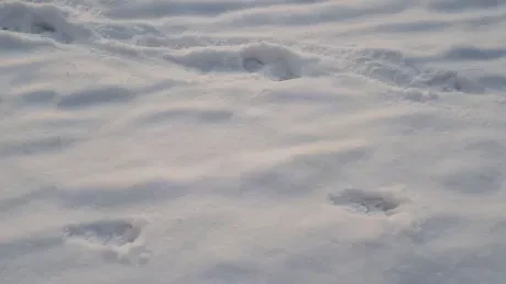 Staročeské Vánoce_1. A_1