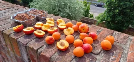 Pasování na čtenáře_2