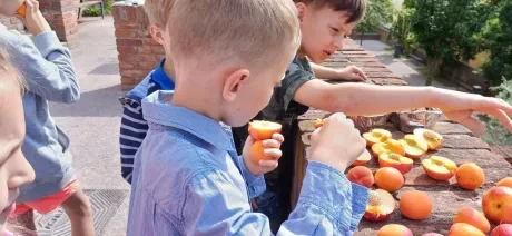 Pasování na čtenáře_2