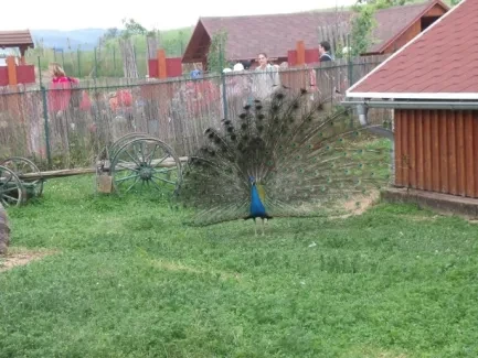 Škola v přírodě 1. A, 2. B, 4. A - Broumov (část 3)