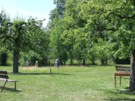 Putování s hradeckými lvy do kláštera - ŠD 1.tř.