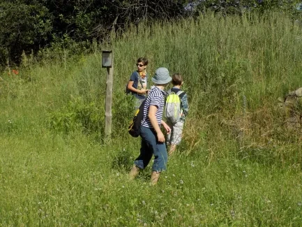 Rytířské hradiště_5. B