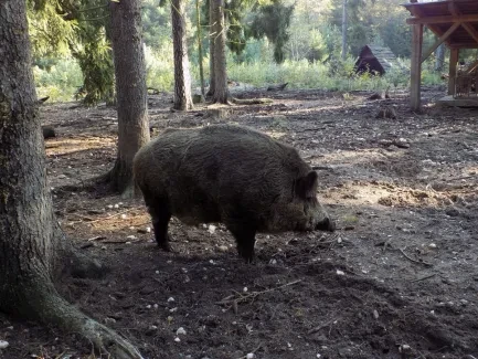 Přírodovědná procházka_4. A