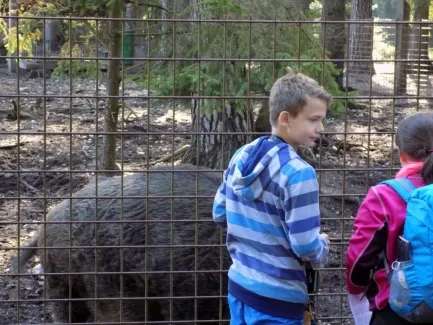 Přírodovědná procházka_4. A