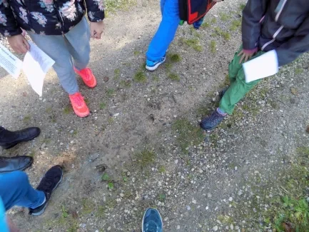 Přírodovědná procházka_4. A