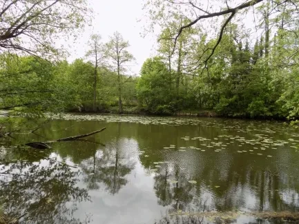 Přírodovědná exkurze u vody_4. A