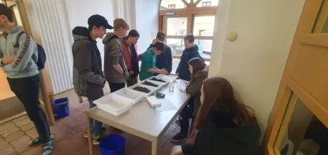 Projektový den_6. - 9. třídy_2