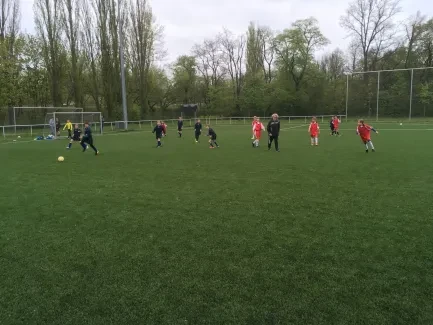 McDonald´s Cup 2019