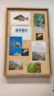 ŠD1_podzim a advent