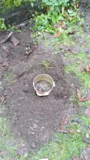 Projektový den_6. - 9. třídy_1