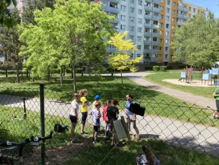 Liga škol_orienťák