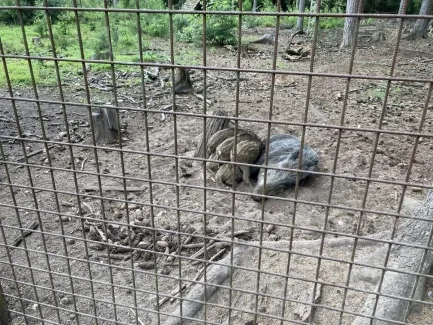 Škola v přírodě_5. A