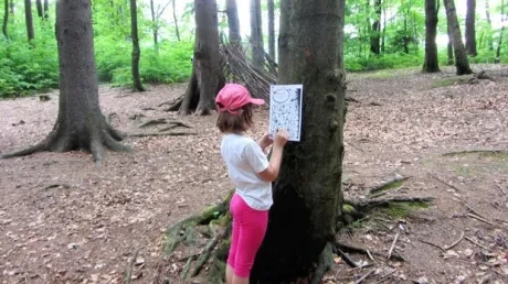 Škola v přírodě 1.B, 2.A - Janské Lázně (část 1)