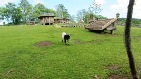 Škola v přírodě 1.B, 2.A - Janské Lázně (část 1)
