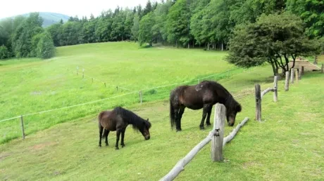 Škola v přírodě 1.B, 2.A - Janské Lázně (část 1)