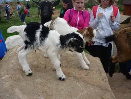 Škola v přírodě 1. A, 2. B, 4. A - Broumov (část 2)