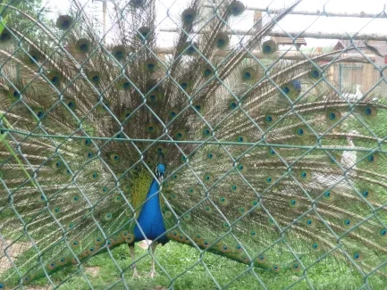 Škola v přírodě 1. A, 2. B, 4. A - Broumov (část 2)