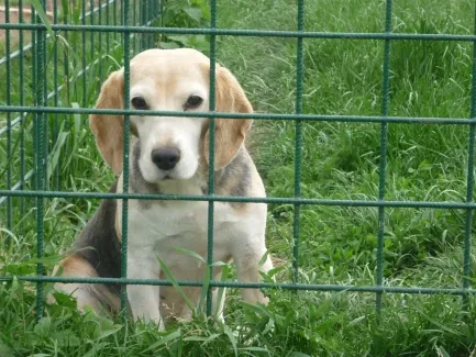 Škola v přírodě 1. A, 2. B, 4. A - Broumov (část 2)