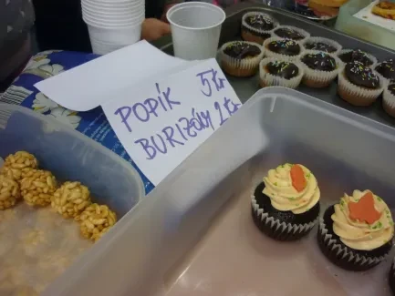 Misijní štrúdlování 2017