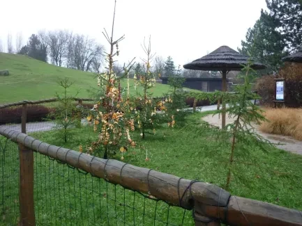 ZOO Dvůr Králové n. L.