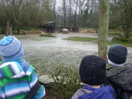 ZOO Dvůr Králové n. L.