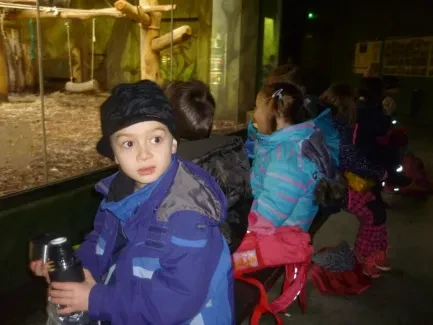 ZOO Dvůr Králové n. L.